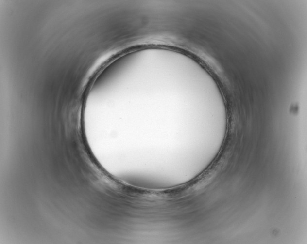X0000090481224200708102149