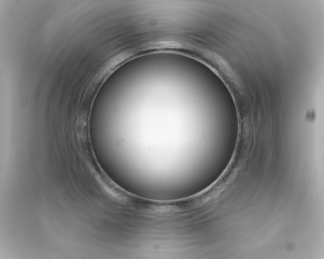X0000090481225200708102149