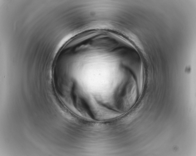 X0000090481226200708102149