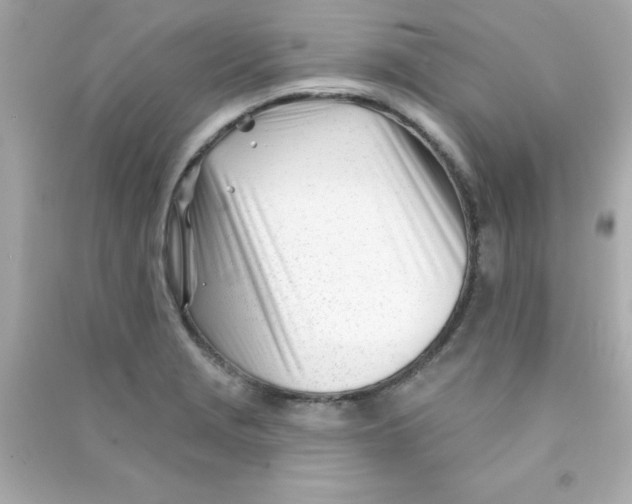X0000090481229200708102149