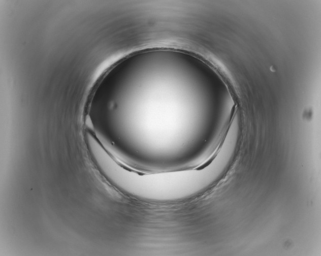 X0000090481230200708102149
