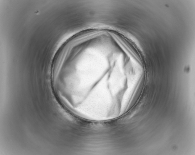 X0000090481231200708102149