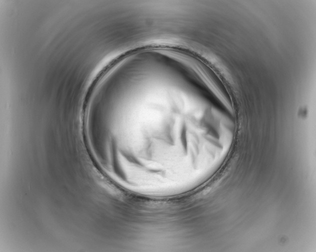 X0000090481232200708102149