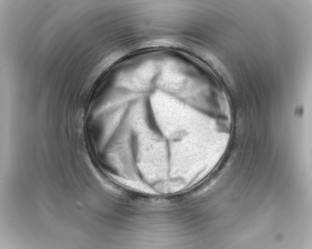 X0000090481233200708102149