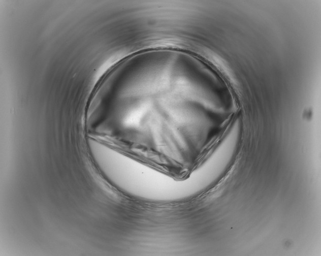 X0000090481234200708102149