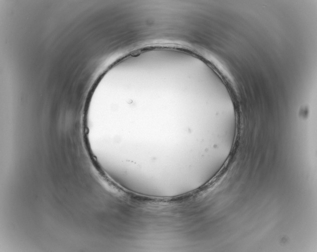 X0000090481237200708102149