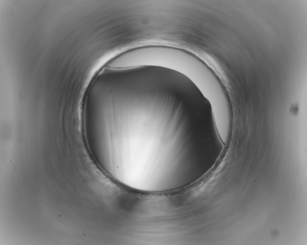 X0000090481238200708102149