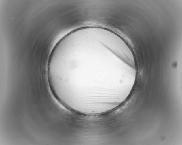 X0000090481239200708102149