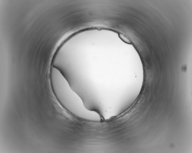 X0000090481240200708102149