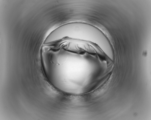 X0000090481242200708102149