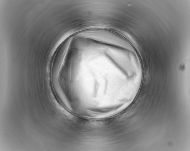 X0000090481243200708102149