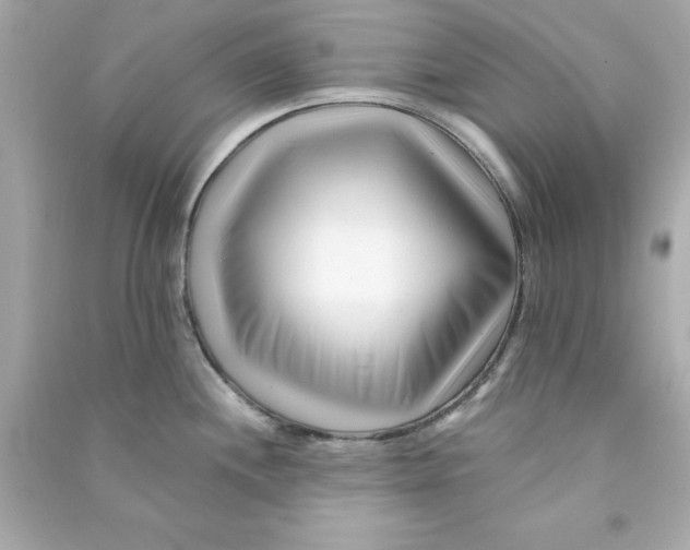 X0000090481244200708102149