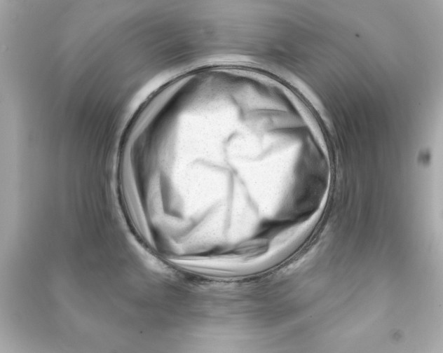 X0000090481245200708102149