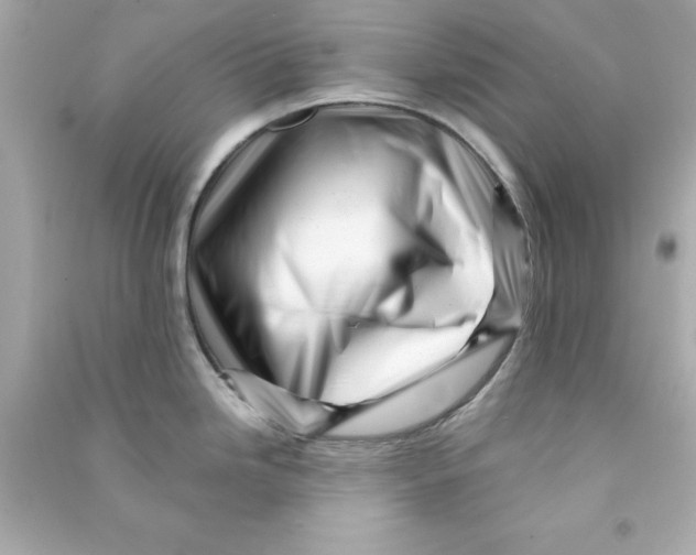 X0000090481246200708102149