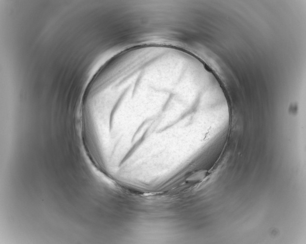 X0000090481247200708102149