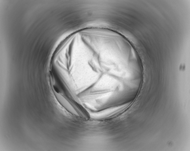 X0000090481248200708102149
