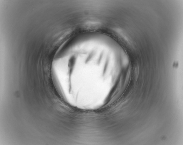 X0000090481250200708102148