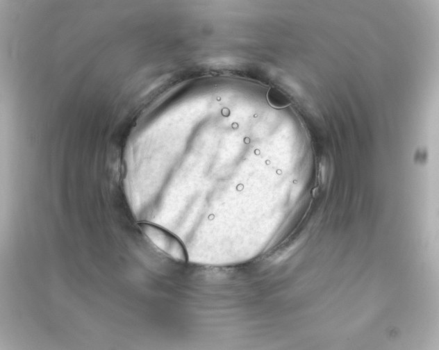 X0000090481251200708102148