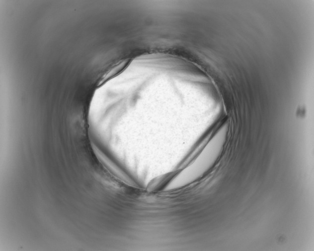 X0000090481252200708102148