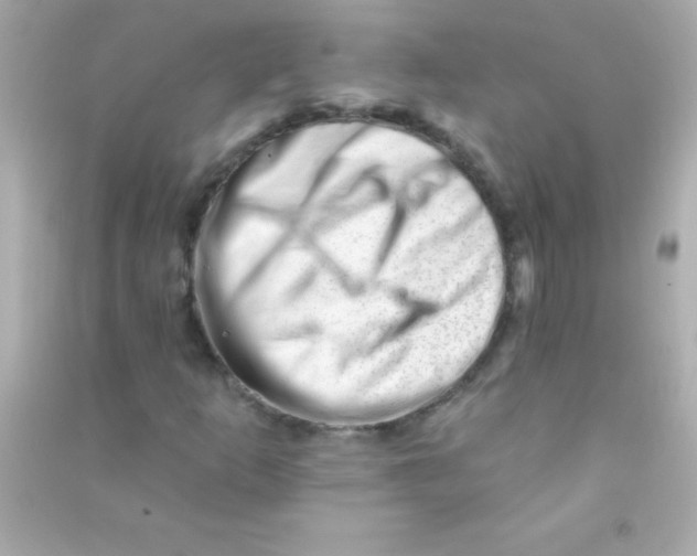 X0000090481253200708102148