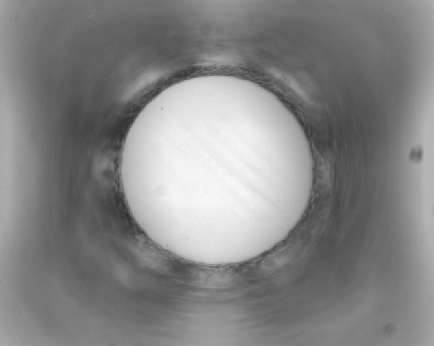 X0000090481254200708102148