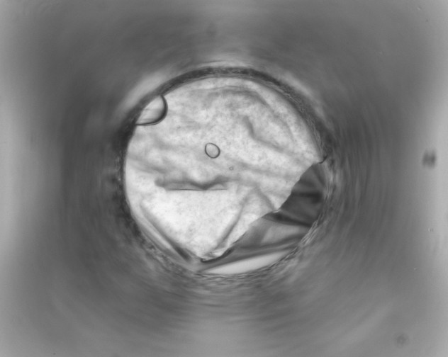 X0000090481255200708102148