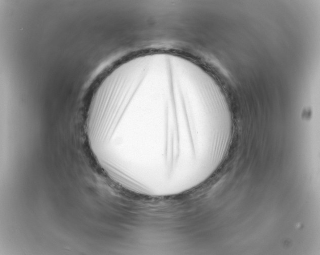 X0000090481256200708102148