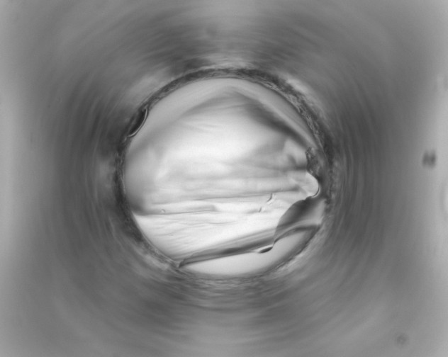 X0000090481257200708102148