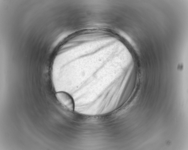 X0000090481259200708102148