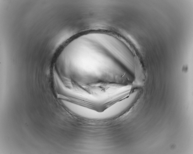X0000090481261200708102148