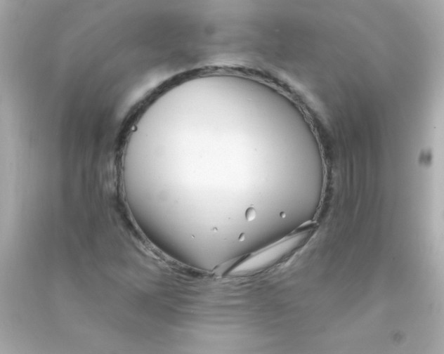X0000090481262200708102148