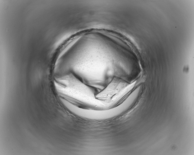 X0000090481263200708102148