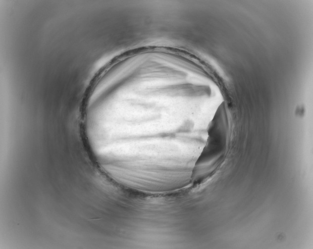 X0000090481264200708102148