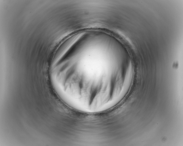 X0000090481265200708102148