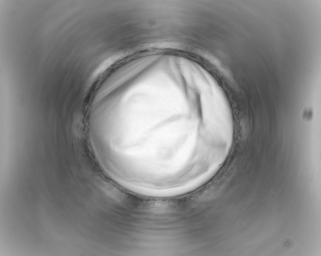 X0000090481266200708102148