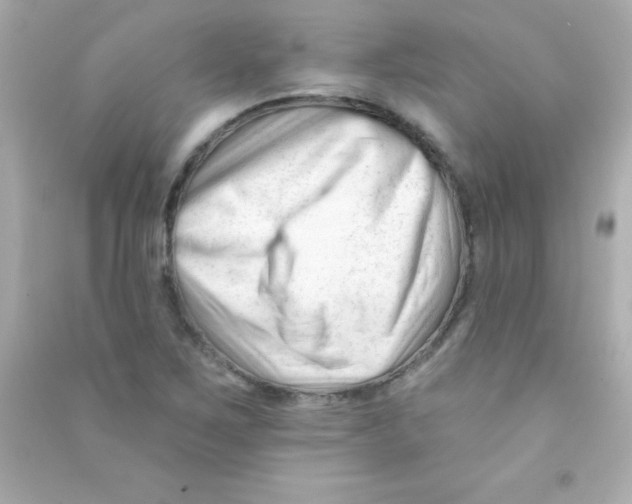 X0000090481267200708102148