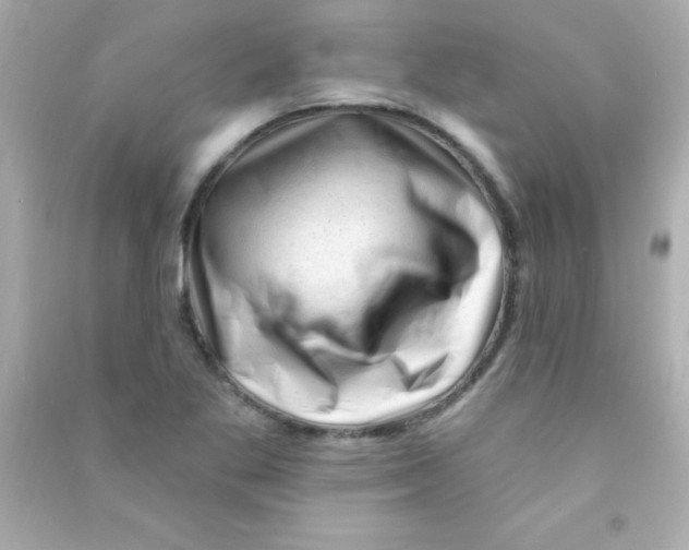 X0000090481269200708102148