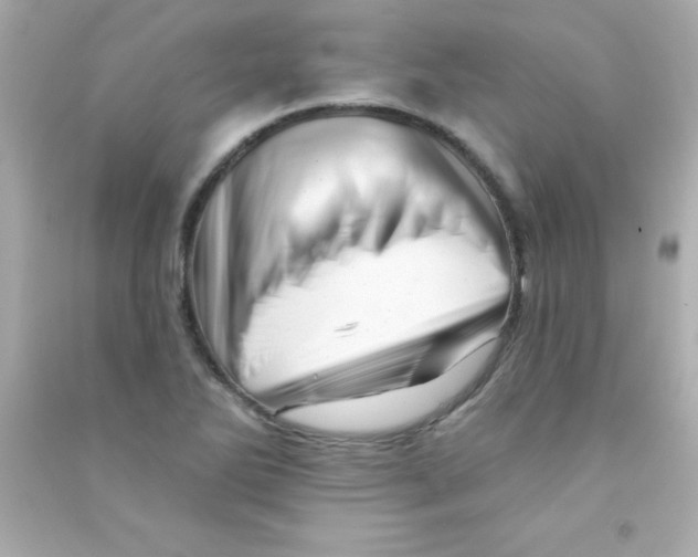 X0000090481270200708102148