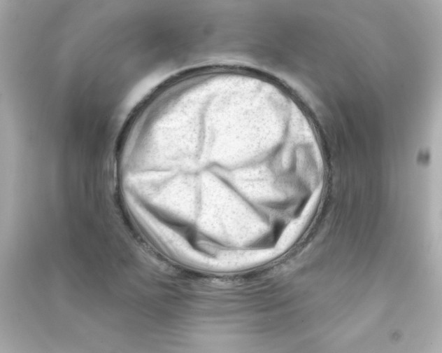X0000090481271200708102148