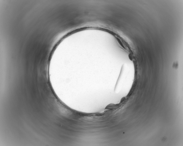 X0000090481272200708102148