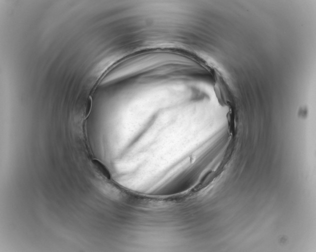 X0000090481273200708102148