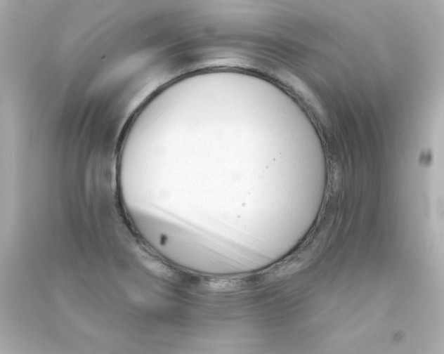 X0000090481274200708102148