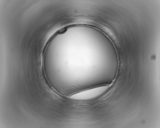 X0000090481275200708102148