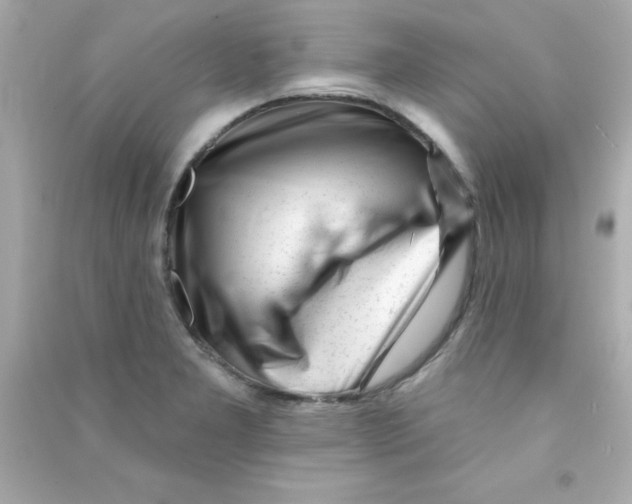 X0000090481277200708102148
