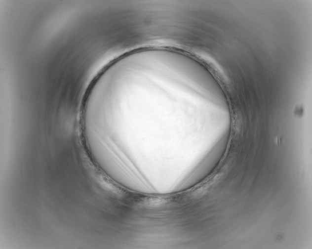 X0000090481278200708102148