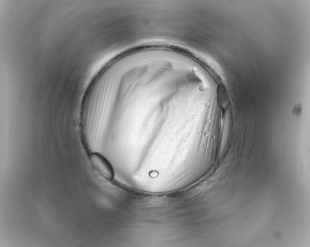 X0000090481279200708102148