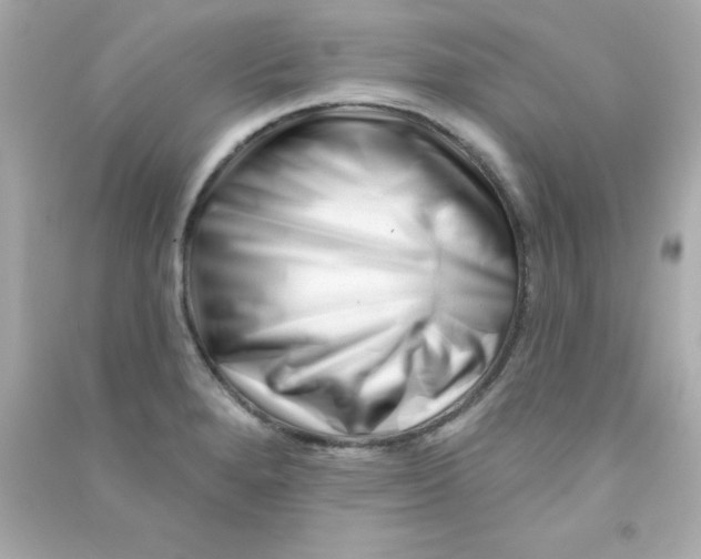 X0000090481280200708102148