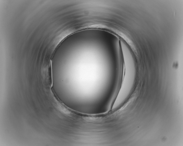 X0000090481281200708102148