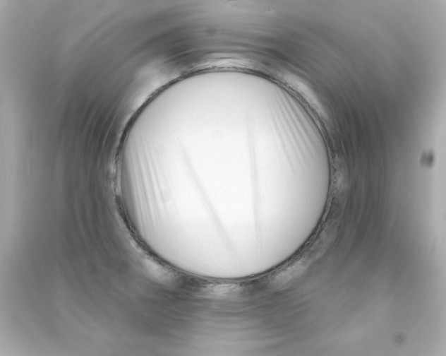 X0000090481282200708102148