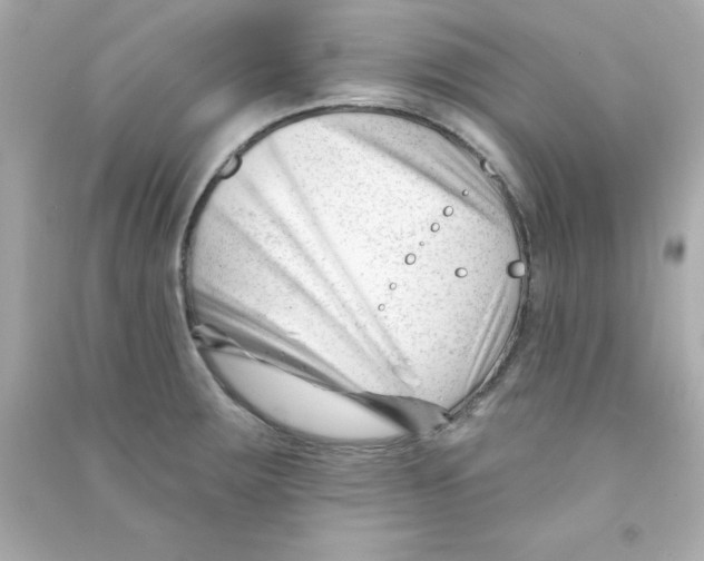 X0000090481283200708102148